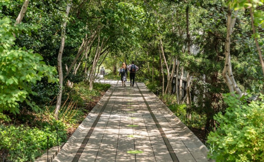 Greenways Are Reviving American Cities. Some Say They Could Be Improved