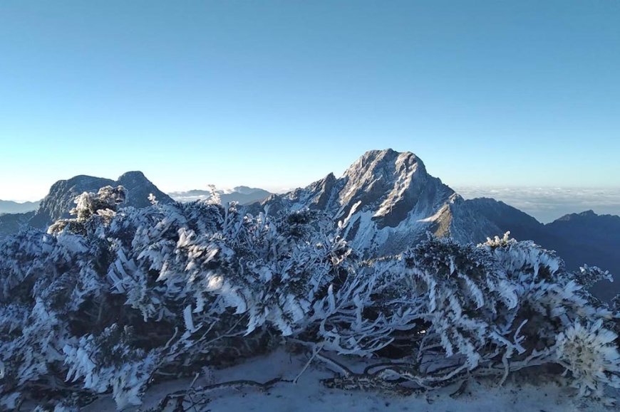 寒流發威！5高山明晨有望降雪　周六第2波冷氣團接力