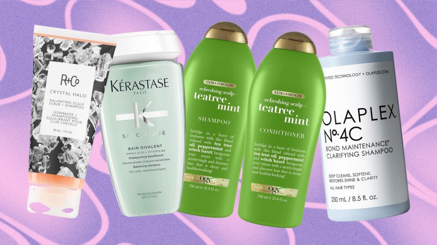 13 Best Shampoos for Oily Hair 2024, According to Experts