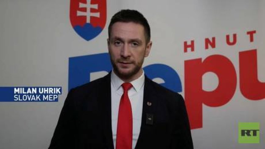 Zelensky’s testing our patience – Slovak MEP