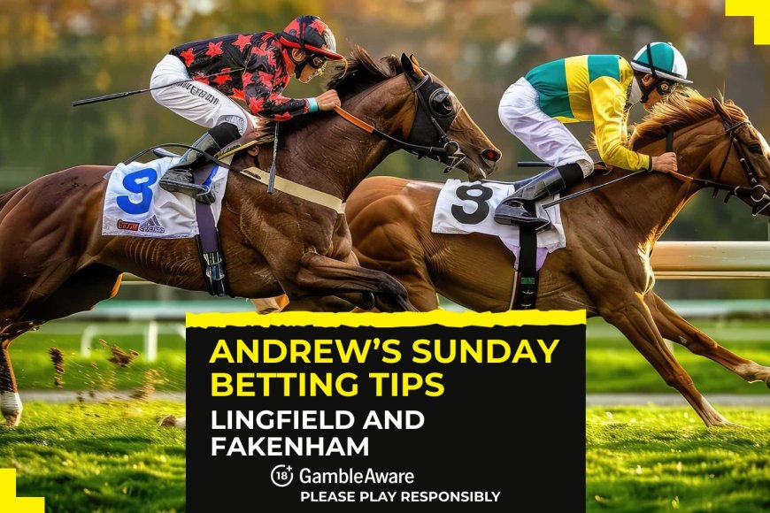 Andrew’s best Sunday horse racing betting tips for Lingfield and Fakenham (December 22)