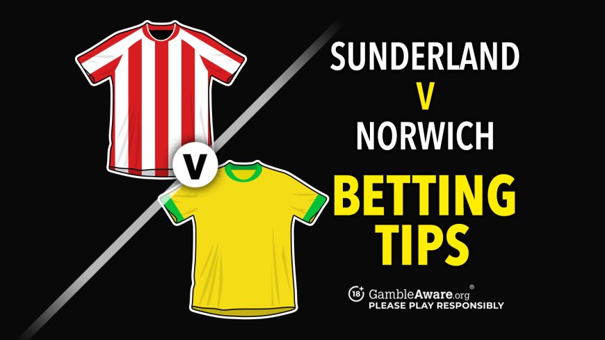 Sunderland vs Norwich prediction, tips, odds and how to watch