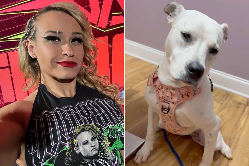 Wrestler Jordynne Grace’s Dog Accidentally Gets High After Stealing Her Edibles