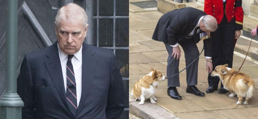 Prince Andrew Is Reportedly So 'Demoralized' By Scandals He Refuses To Walk Late Queen's Corgis