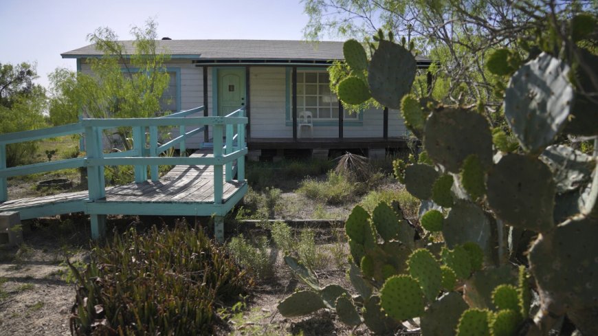 Why this Mexican American woman played a vital role in the US sacramental peyote trade