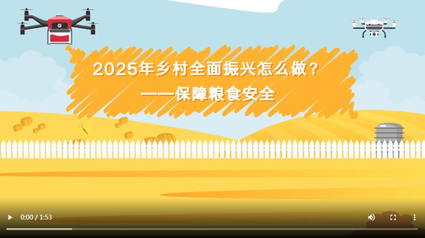 【2025年乡村全面振兴怎么做】保障粮食安全