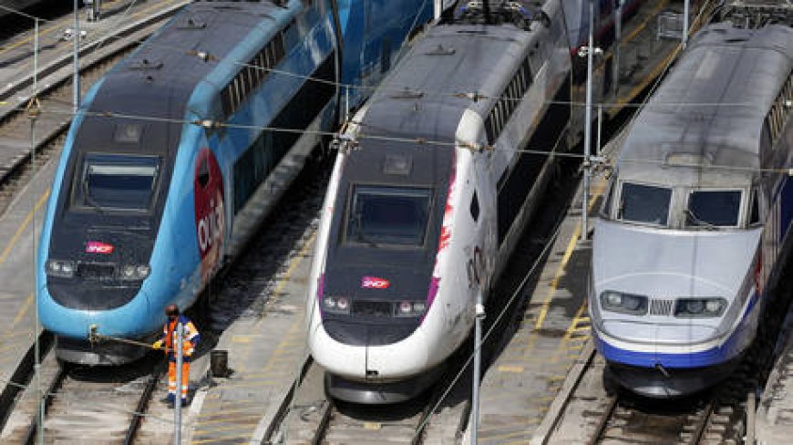 French train driver in 300km/h suicide – media