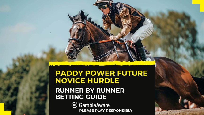 Paddy Power Future Novice Hurdle: Runner by runner betting guide