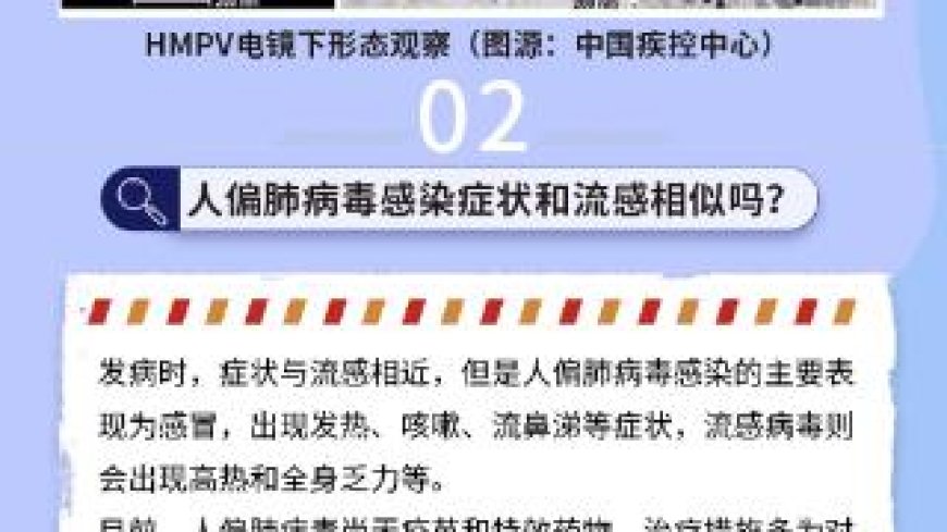 长图新闻｜和流感相似？HMPV来势汹汹普遍易感！