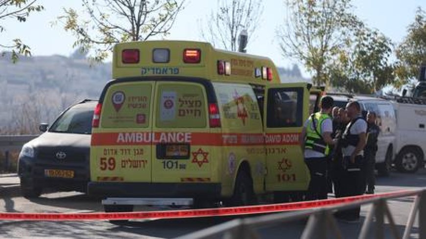 Elderly Russian woman murdered in alleged terrorist attack in Israel