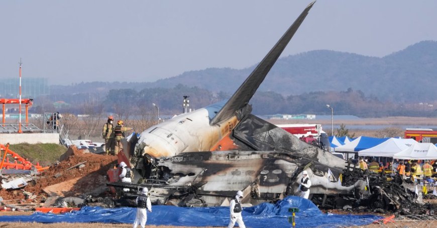 Plane Engulfed in Flames After Skidding Off the Runway in South Korea, Killing at Least 177