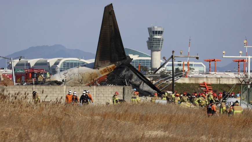 A plane is engulfed in flames after skidding off the runway in South Korea, killing at least 177