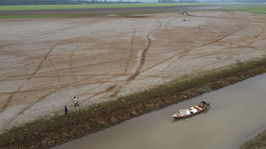 Drought, fires and deforestation battered Amazon rainforest in 2024