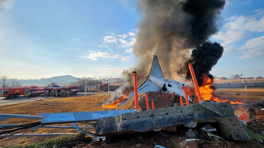 Eyewitnesses to South Korea plane crash recount sparks in engine, bird strike before collision