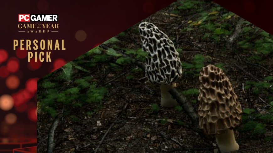 Morels: The Hunt 2 is a great outdoors vibe when you're stuck indoors