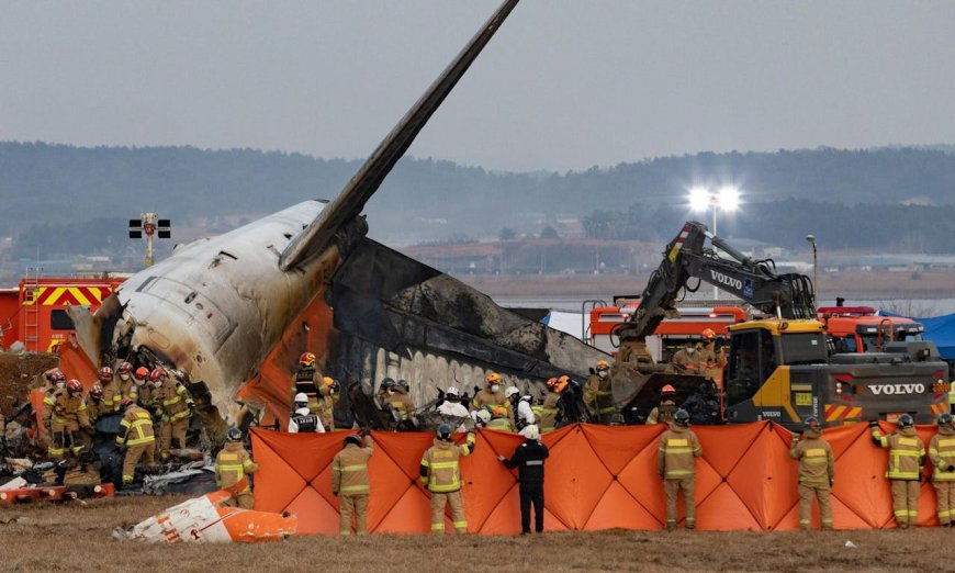 濟州航空波音737失事增至176死，成韓國境內罹難人數最多空難；荷航同款客機也發生衝出跑道意外