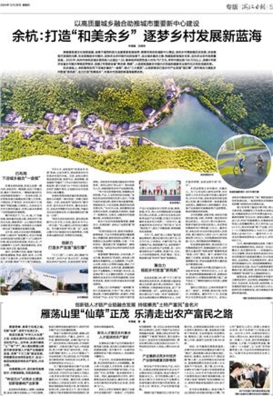 雁荡山里“仙草”正茂 乐清走出农产富民之路