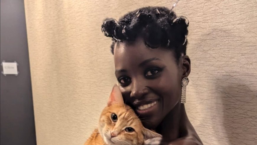 Lupita Nyong’o and More Celebs Who Are Obsessed With Their Cats