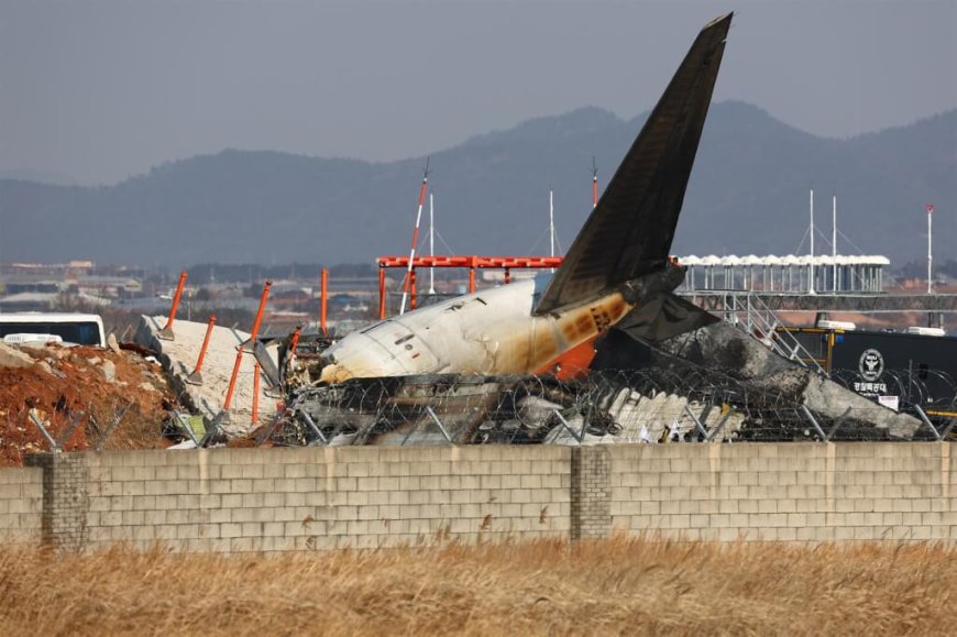 濟州航空波音737-800失事 韓下令檢查所有同型飛機