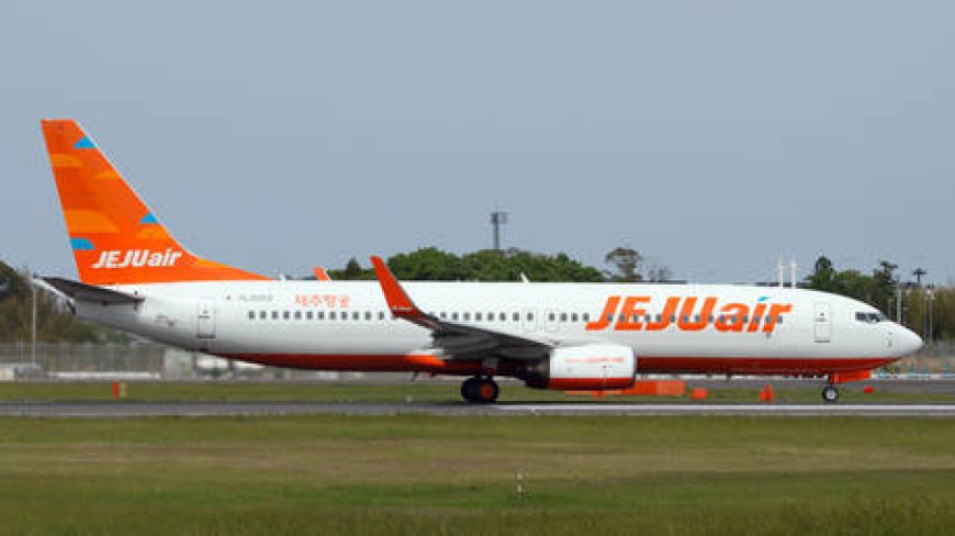 New issue with Jeju Air Boeing 737-800 – media