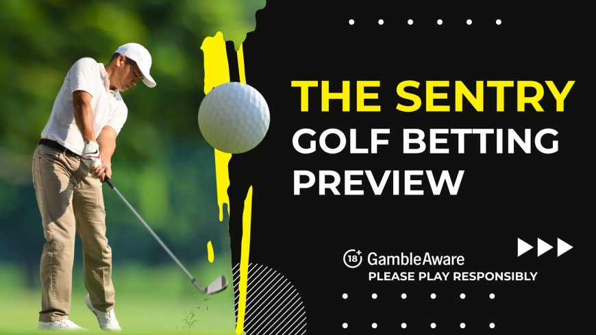 The Sentry 2025 golf betting preview: odds, predictions and tips