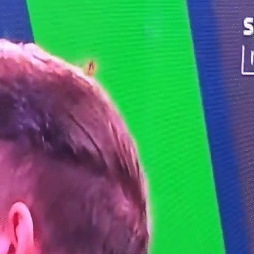 Darts fans screaming at TV as Callan Rydz survives ‘Ally Pally wasp attack’ to reach quarter-finals