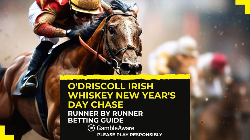 O’Driscoll Irish Whiskey New Year’s Day Chase: Runner by runner betting guide