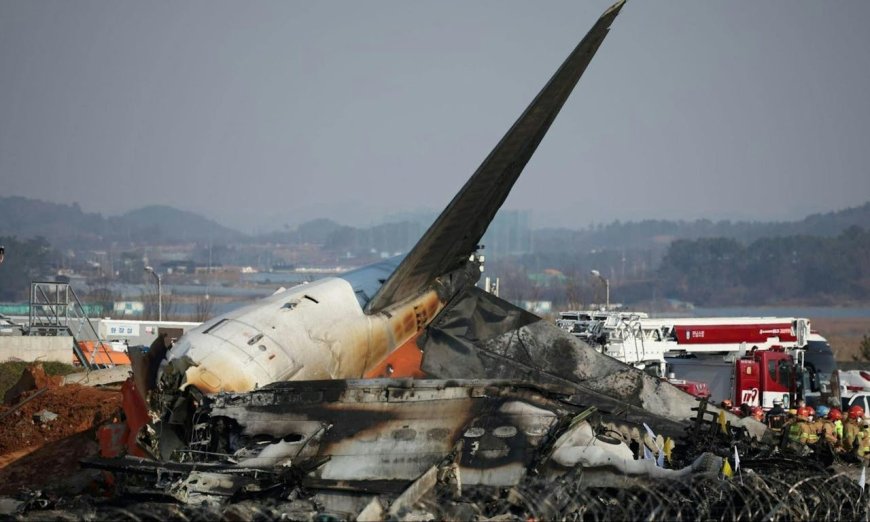 濟州航空空難事故主因為何？專家：機場跑道盡頭砌了一堵牆，這非常不尋常