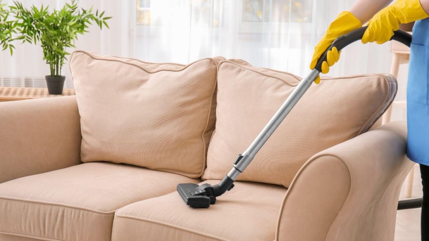 Professional Sofa Cleaning Services: Transform Your Living Space