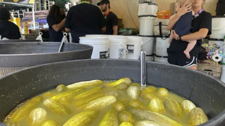 The dill of a lifetime? In a nation that’s enduring its own sour patch, the pickle dominated 2024