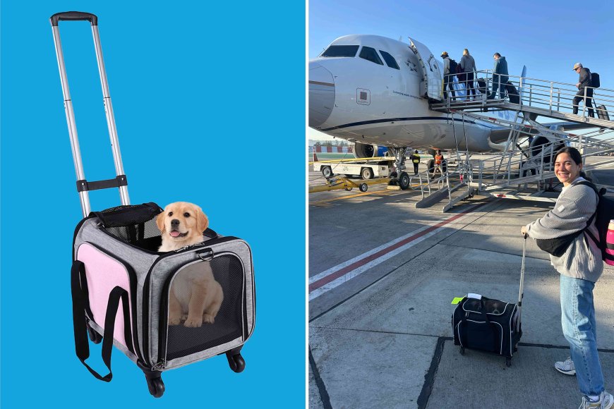 My Dog Travels with Me 10+ Times a Year Thanks to This Pet Carrier That's 59% Off