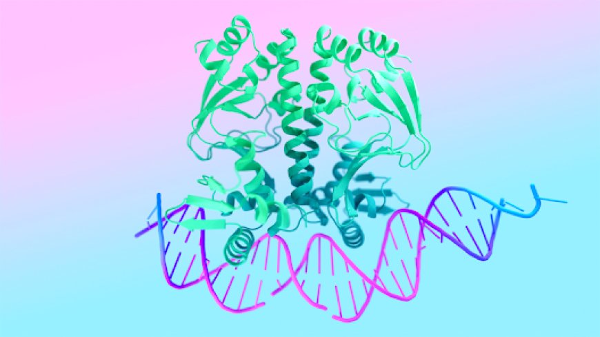 AlphaFold 3 predicts the structure and interactions of all of life’s molecules