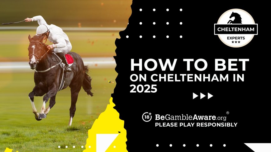 How to bet on Cheltenham 2025: Best in-depth expert guide