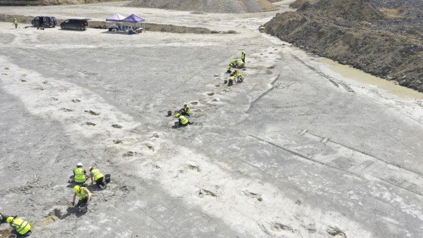 'Dinosaur highway' tracks dating back 166 million years are discovered in England