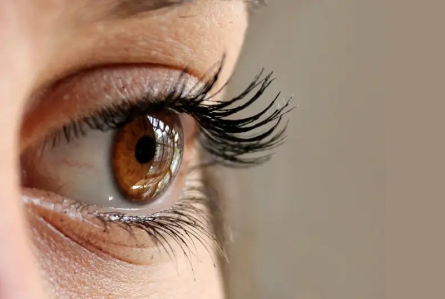 How to Grow Longer and Thicker Eyelashes at Home: 5 Natural DIY Tips!