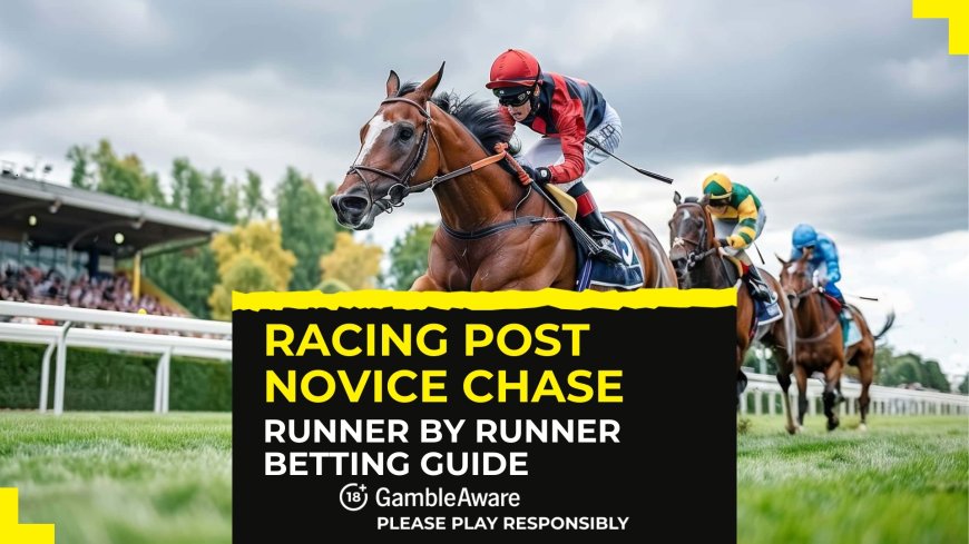 Racing Post Novice Chase: Runner by runner betting guide