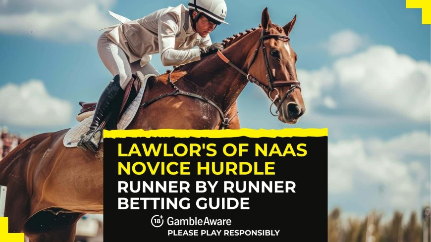 Lawlor’s Of Naas Novice Hurdle: Runner by runner betting guide