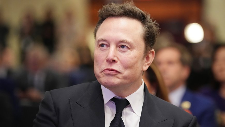 'Elon is a father who gets lots of sex' somehow leads to renewed claims that Elon Musk superfan Adrian Dittman is actually Musk himself