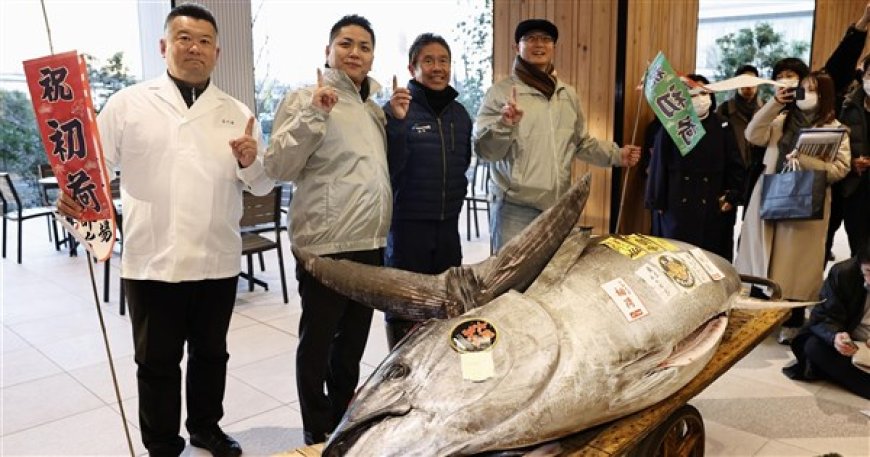 豐洲市場新年首拍 4142萬黑鮪魚創統計史次高價