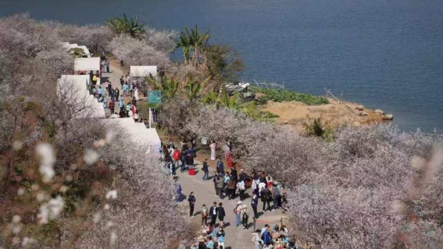 【从化】赏漫天飞“雪”，来广州从化流溪河国家森林公园！