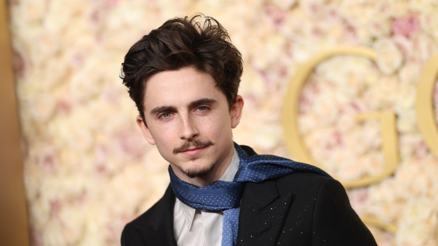 Timothée Chalamet Just Debuted Haider Ackermann’s Tom Ford at the 2025 Golden Globes