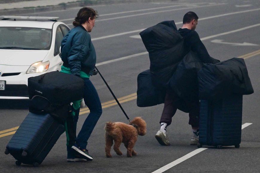 Woman Who Runs 2 Calif. Vet Hospitals Opens Homes to Pets Fleeing L.A. Fires