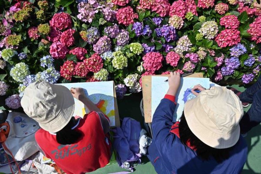 花展繪畫比賽接受報名