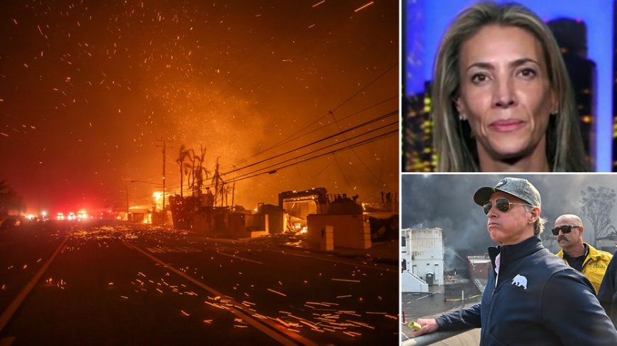 California mom who confronted Newsom over wildfire response speaks out: 'Clean this up'