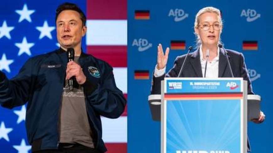 Merkel ‘ruining’ Germany, Ukraine conflict, ‘Hitlerian’ censorship: Key points from Musk’s talk with AfD leader