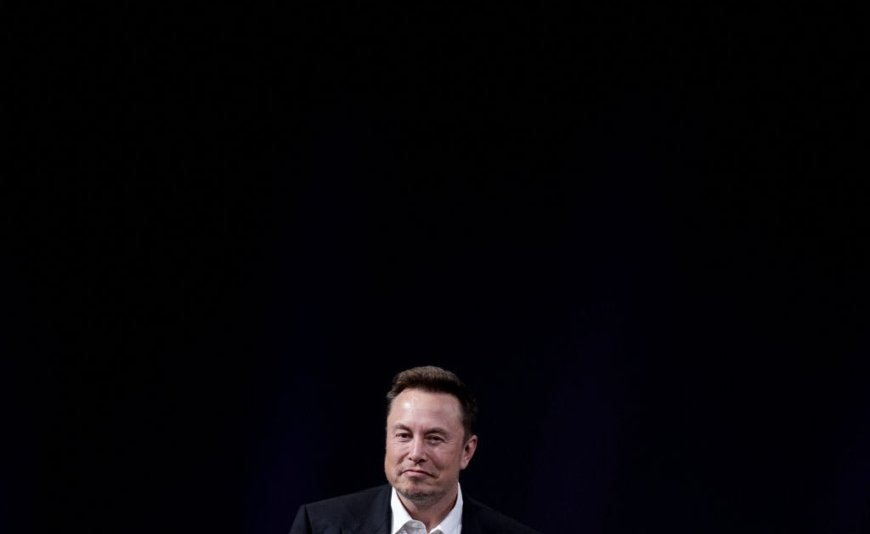 Elon Musk Is Boosting Germany’s Far Right. It Will Backfire