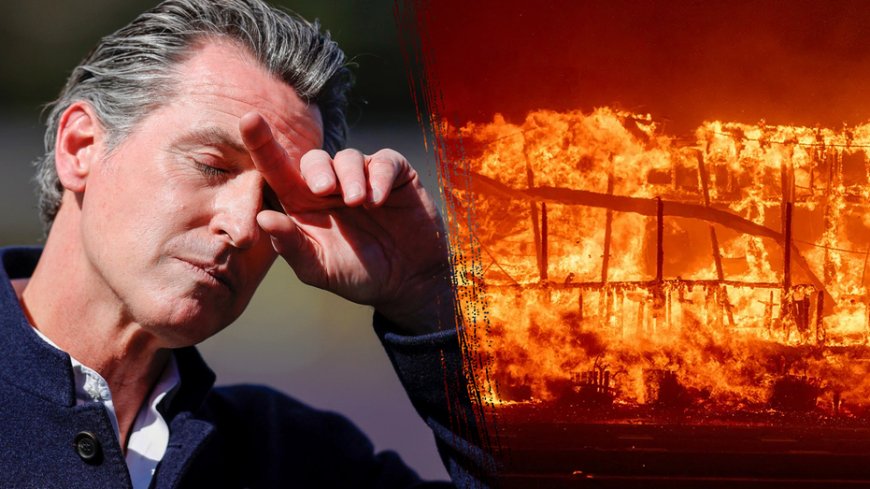 Gov. Newsom cut fire budget by $100M months before lethal California fires