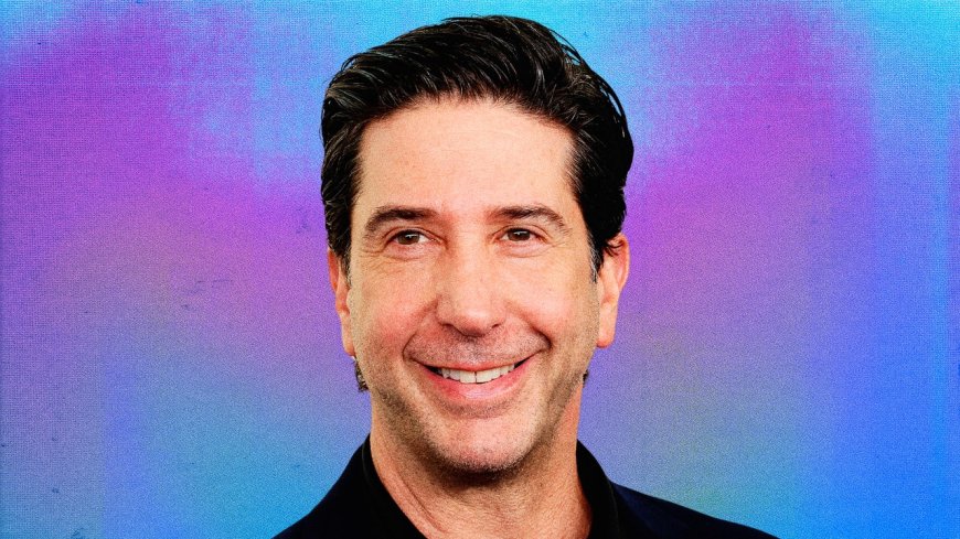 David Schwimmer Is Afraid of Almost Nothing (But Isn't a Huge Fan of Deep Water)