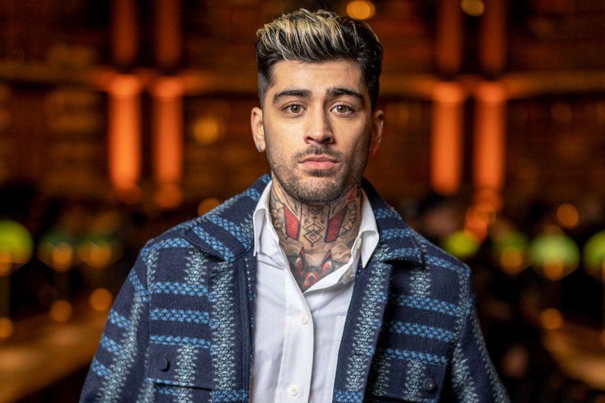 Zayn Malik Shows Off “Last of Us”-Themed Cake as He Celebrates His 32nd Birthday: 'Amazing Piece of Art'