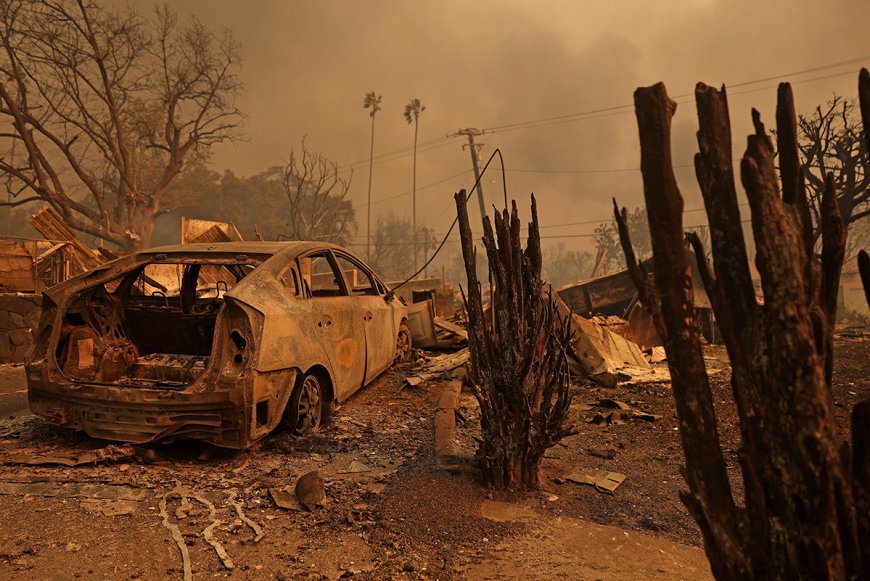 Warner Music/ Blavatnik Foundation to Donate $1 Million to Fire Relief in Los Angeles